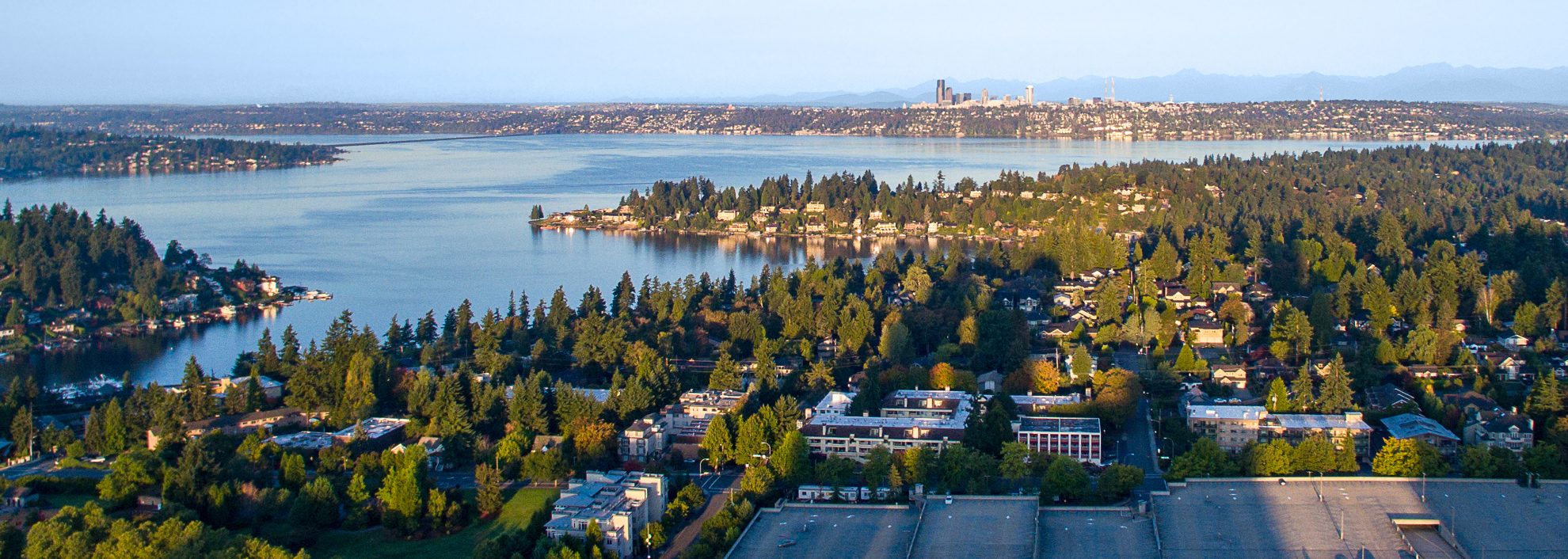 Image of Bellevue skyline